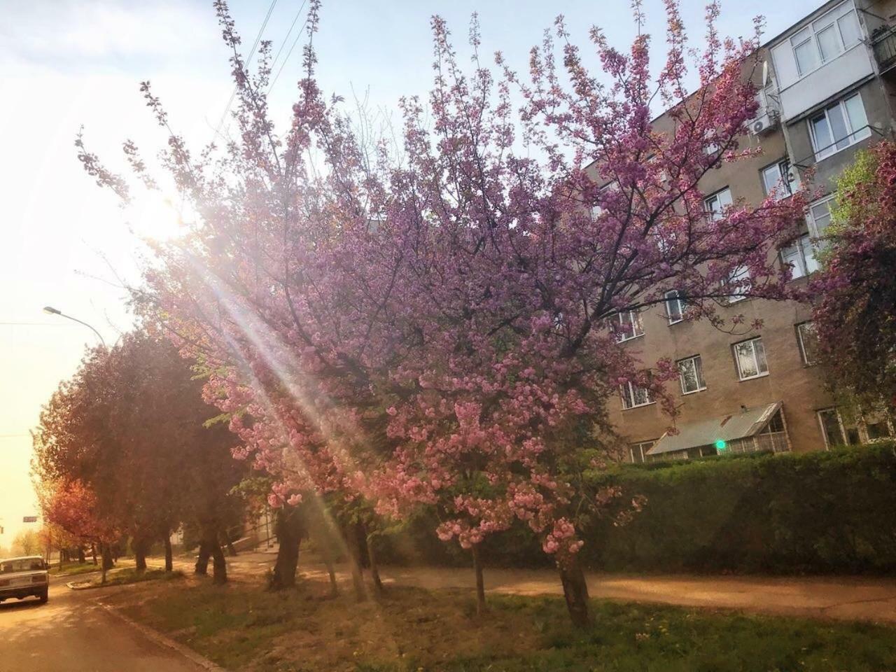Арт Квартира В Центрі Міста أوزهورود المظهر الخارجي الصورة