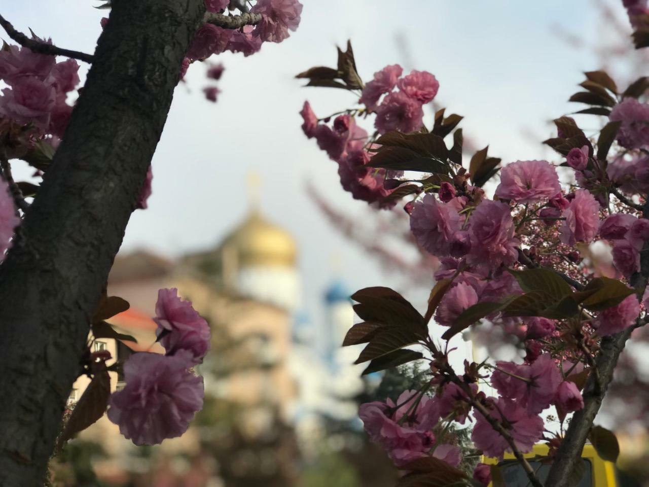 Арт Квартира В Центрі Міста أوزهورود المظهر الخارجي الصورة